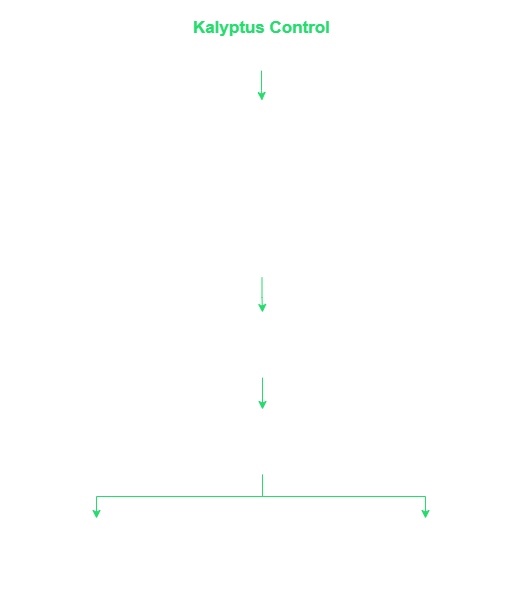 Kalyptus Control Como funciona graph
